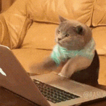 GIF Image